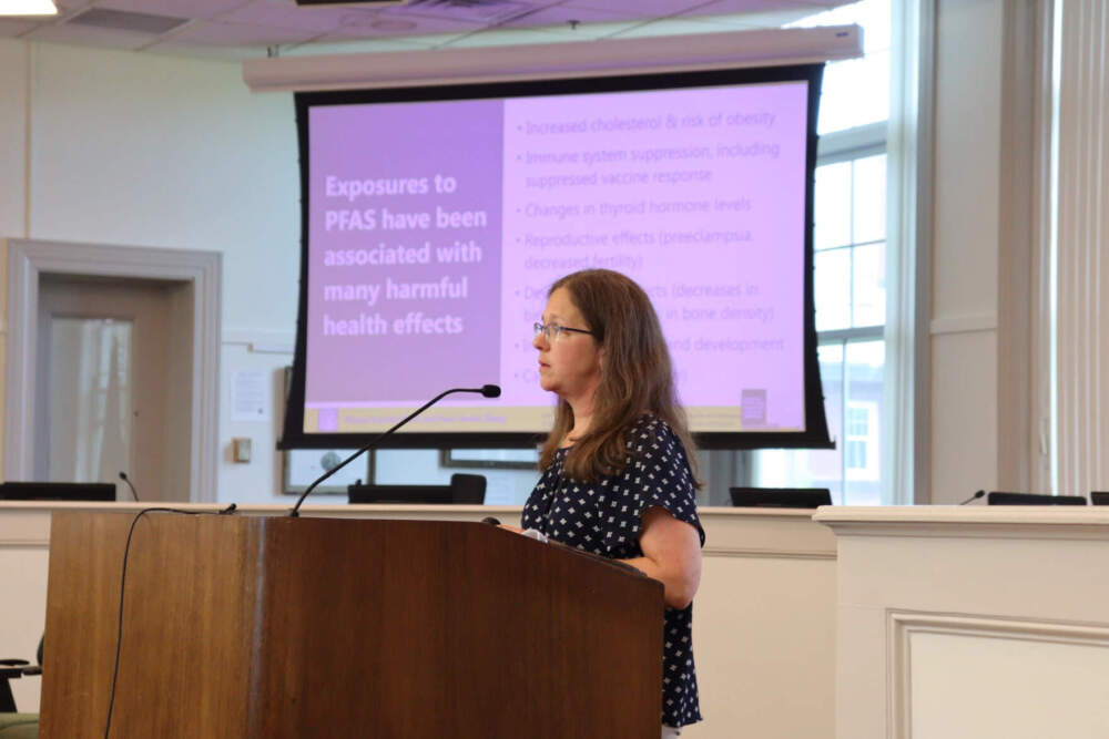 Dr. Laurel Schaider provide an overview of the study, a summary of PFAS blood test results for Hyannis, guidance for participants on how to interpret their results, and resources to help residents reduce their exposures to PFAS and protect their health. (Eve Zuckoff/CAI) 