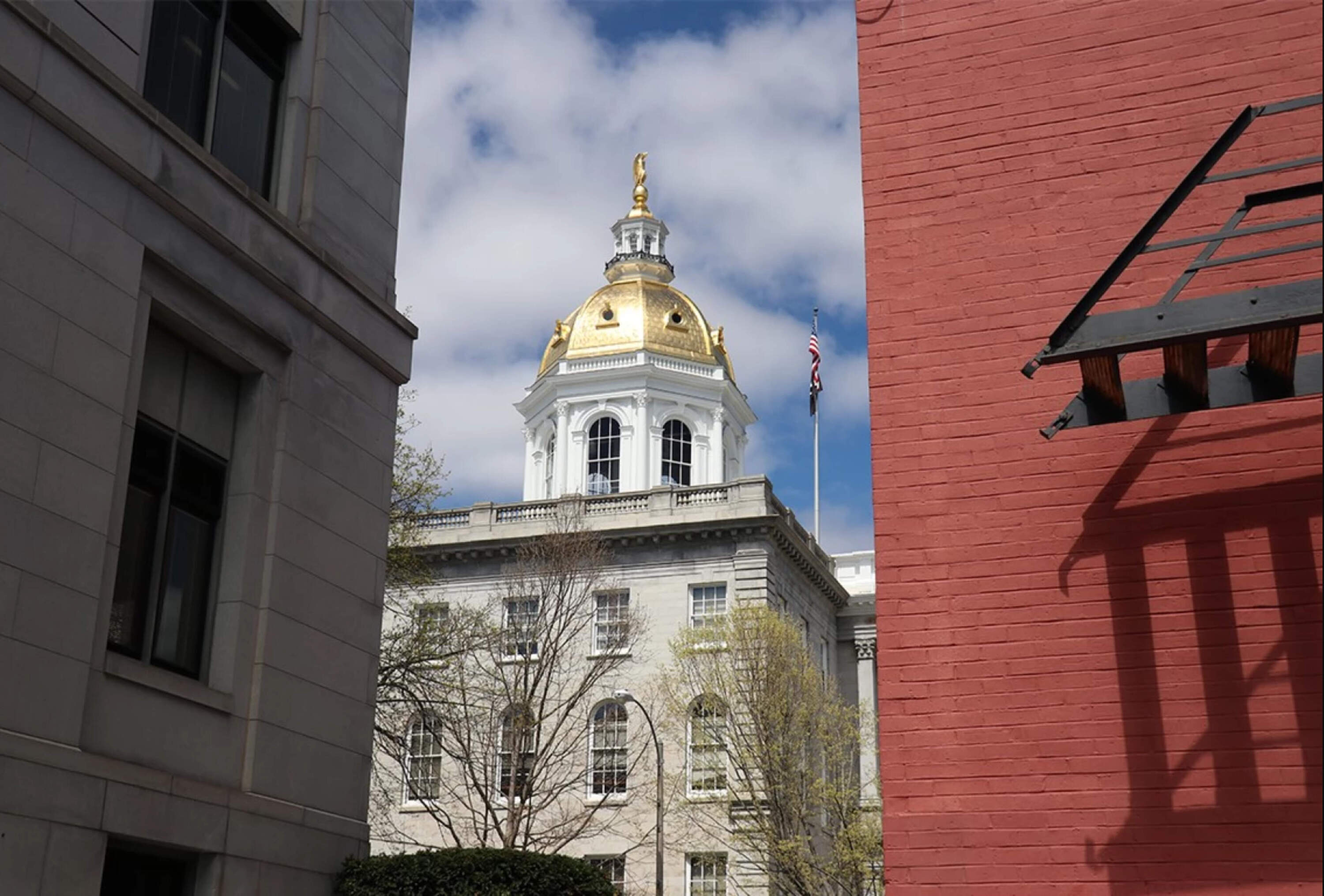 The New Hampshire State House in Concord. (Ali Oshinskie/NHPR)