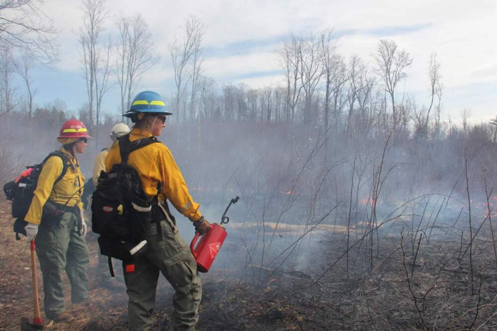 Lindsay Rae Silvia, left, and Meredith Naughton, center, at the prescribed burn in Ripton. (Lexi Krupp/Vermont Public)