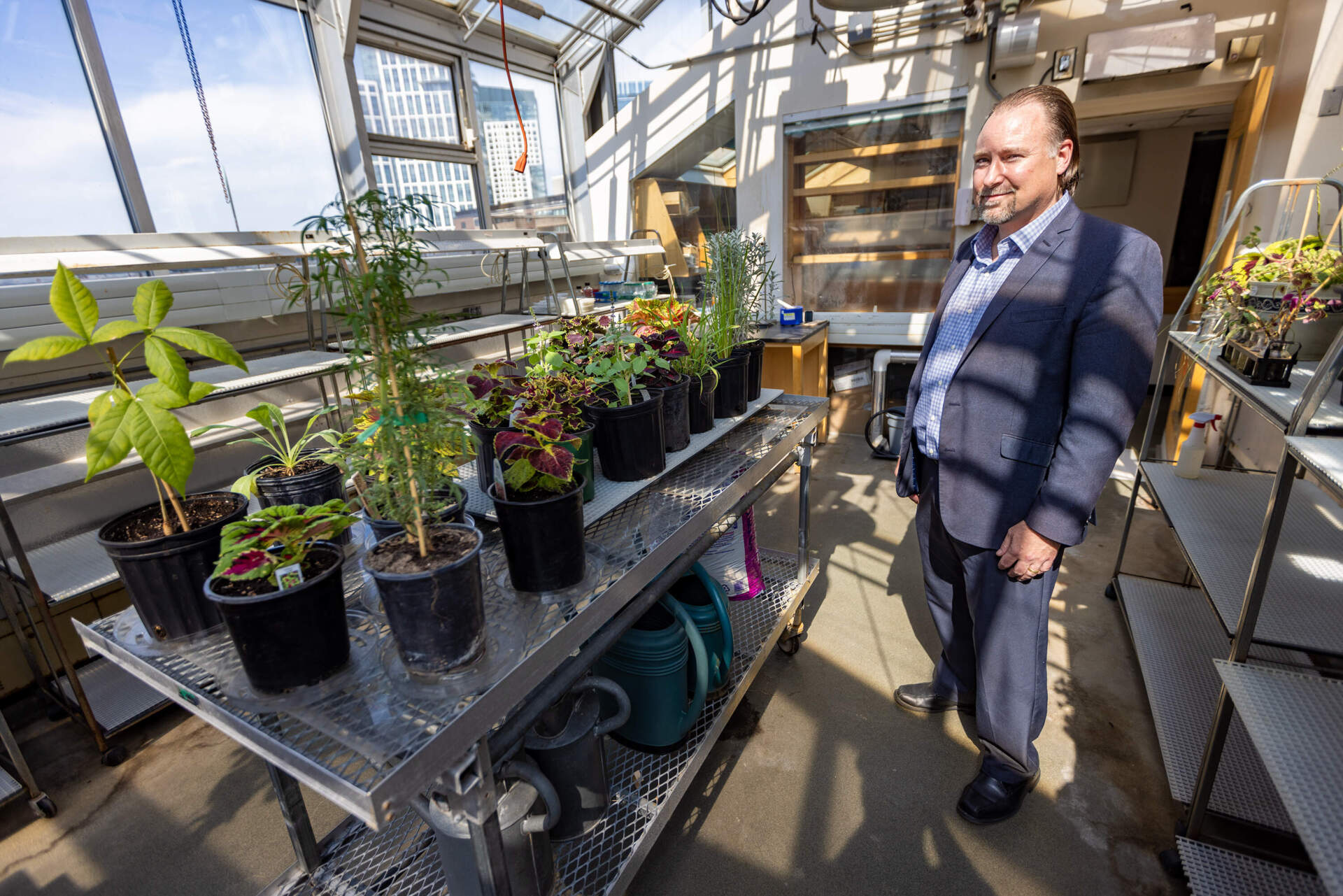 Stephen Haggarty, scientific director of neurobiology at Massachusetts General Hospital's Center for the Neuroscience of Psychedelics at Massachusetts General Hospital, stands in a greenhouse atop a hospital building where he's growing plants for research for the treatment and prevention of psychiatric disorders. (Jesse Costa/WBUR)