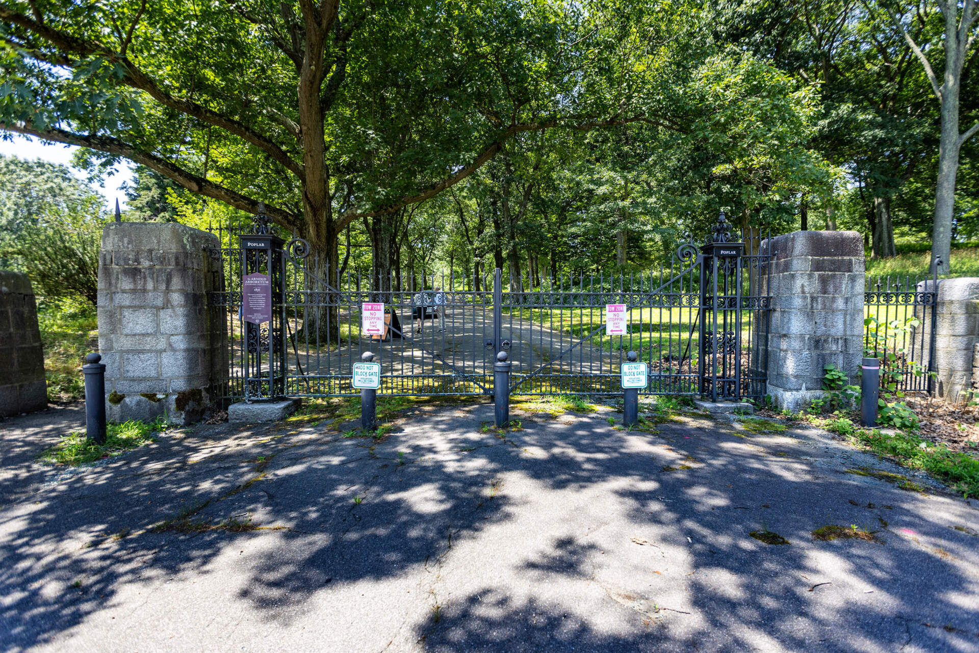 The Poplar Gate entrance to the Arnold Arboretum at the corner of South and Bussey Streets. (Jesse Costa/WBUR)