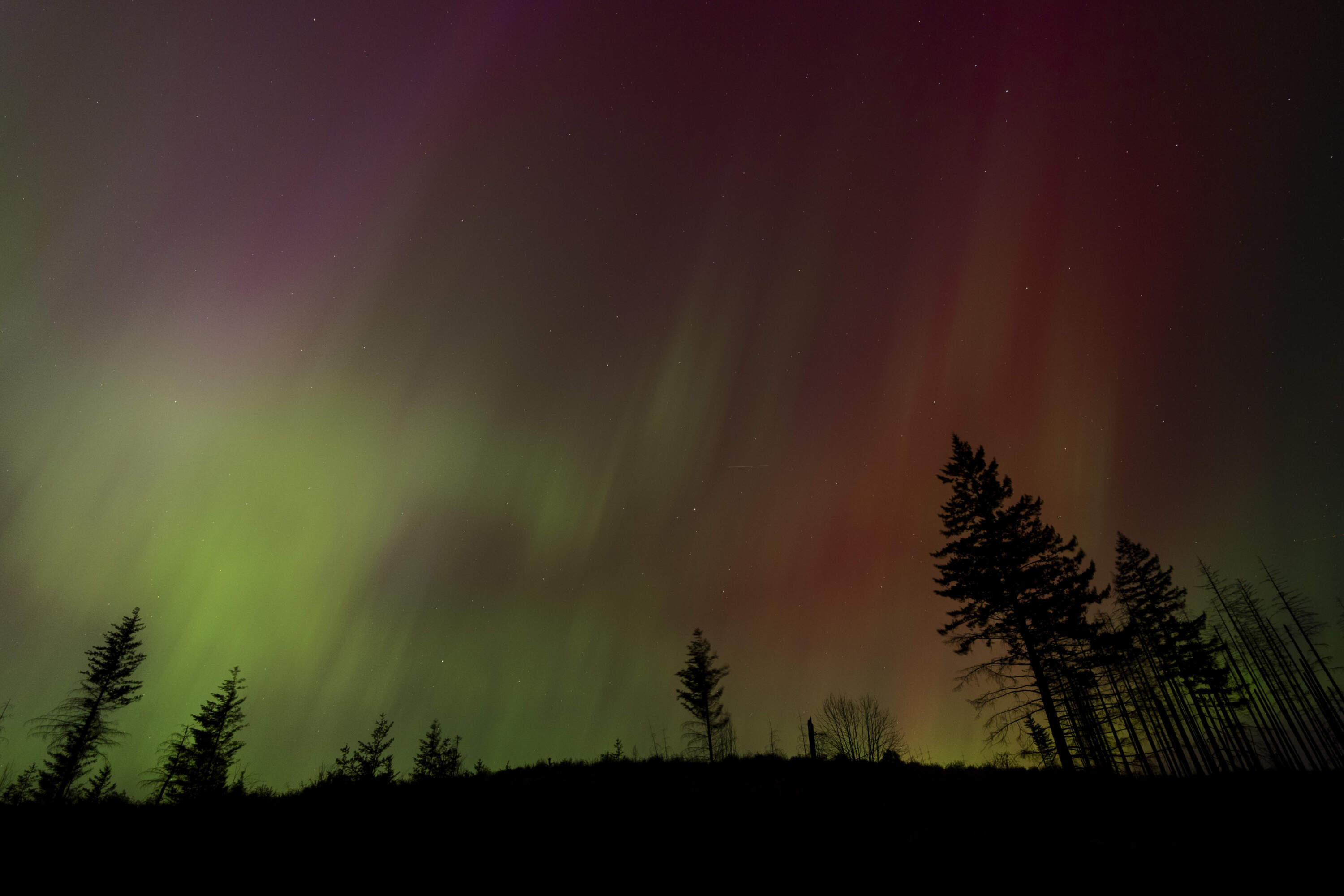 Northern lights are seen in the sky in Oregon. (Jenny Kane/AP)