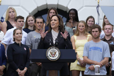Gen Z voters need Kamala Harris to be more than ‘brat’