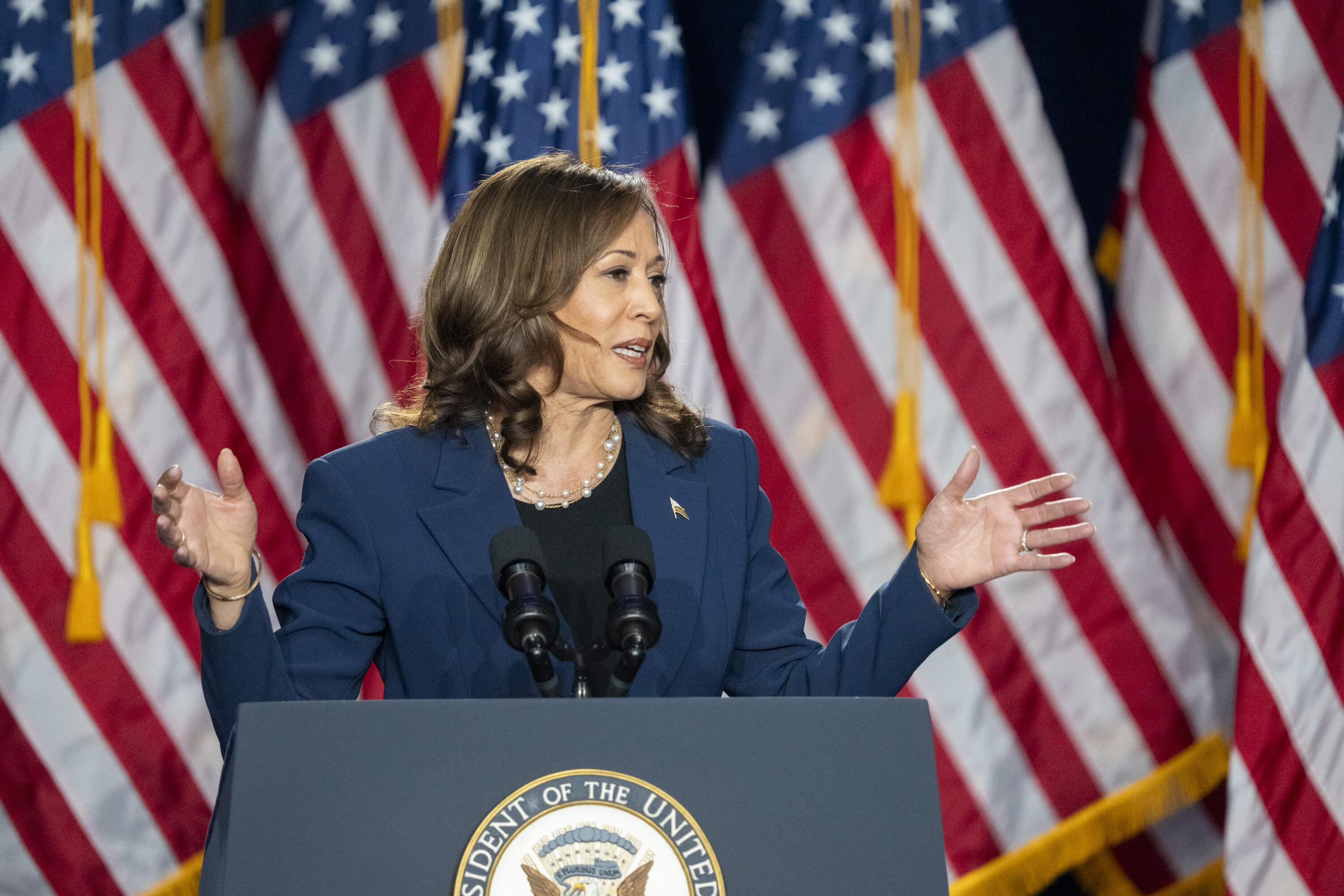 Vice President Kamala Harris campaigns for President as the presumptive Democratic candidate. (Kayla Wolf/AP)