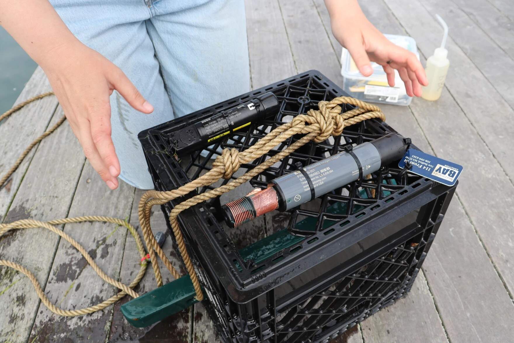 Kristin Huizenga demonstrates how she works with the data loggers. (Eve Zuckoff/CAI)