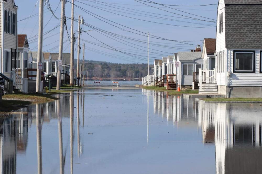 Coastal flooding in Hampton, N.H. (Dan Tuohy/NHPR)