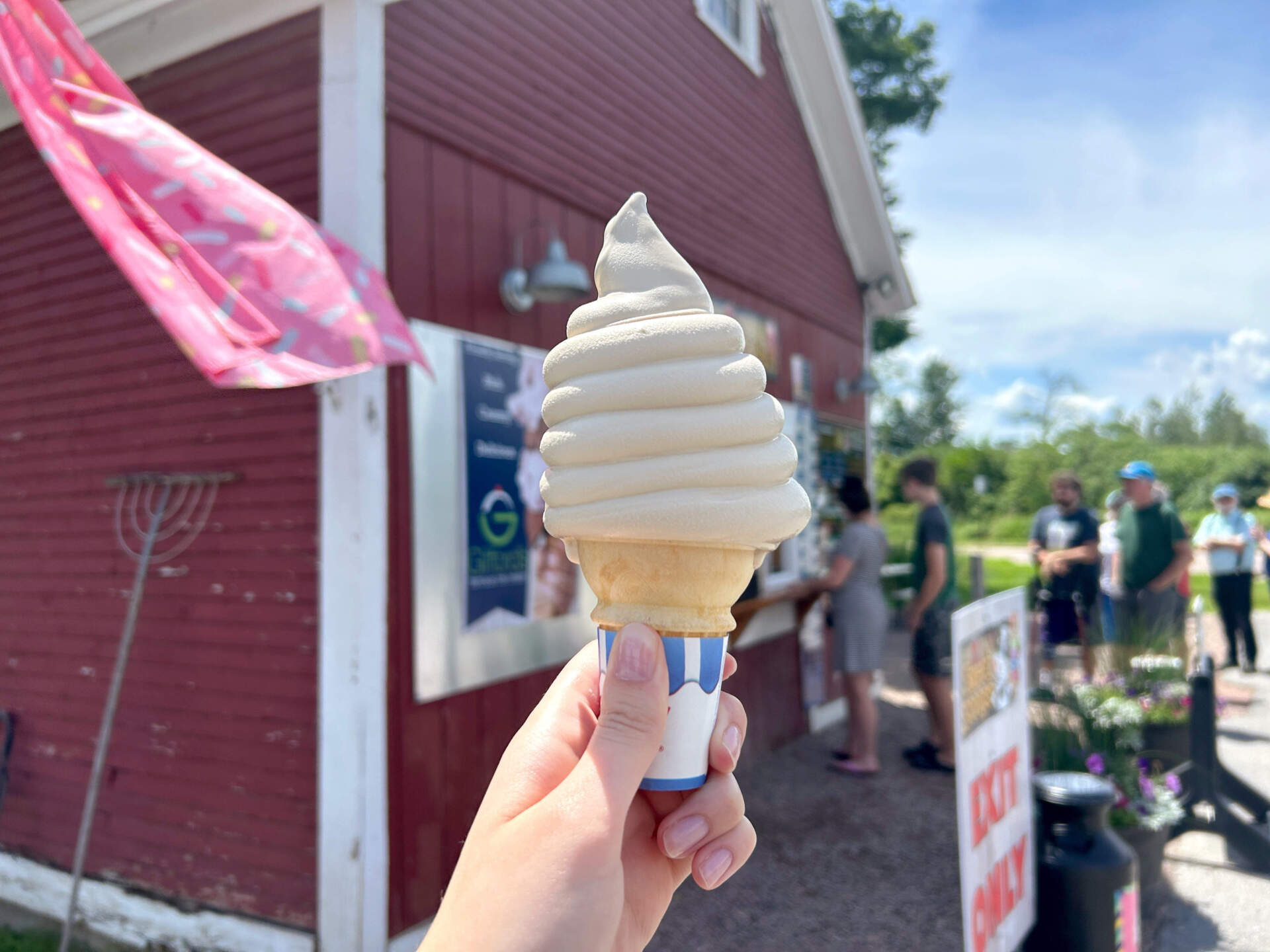 A small maple creemee in a cone from Sweet Scoops off Route 15 in Essex Junction on June 26. (Sophie Stevens/Vermont Public)