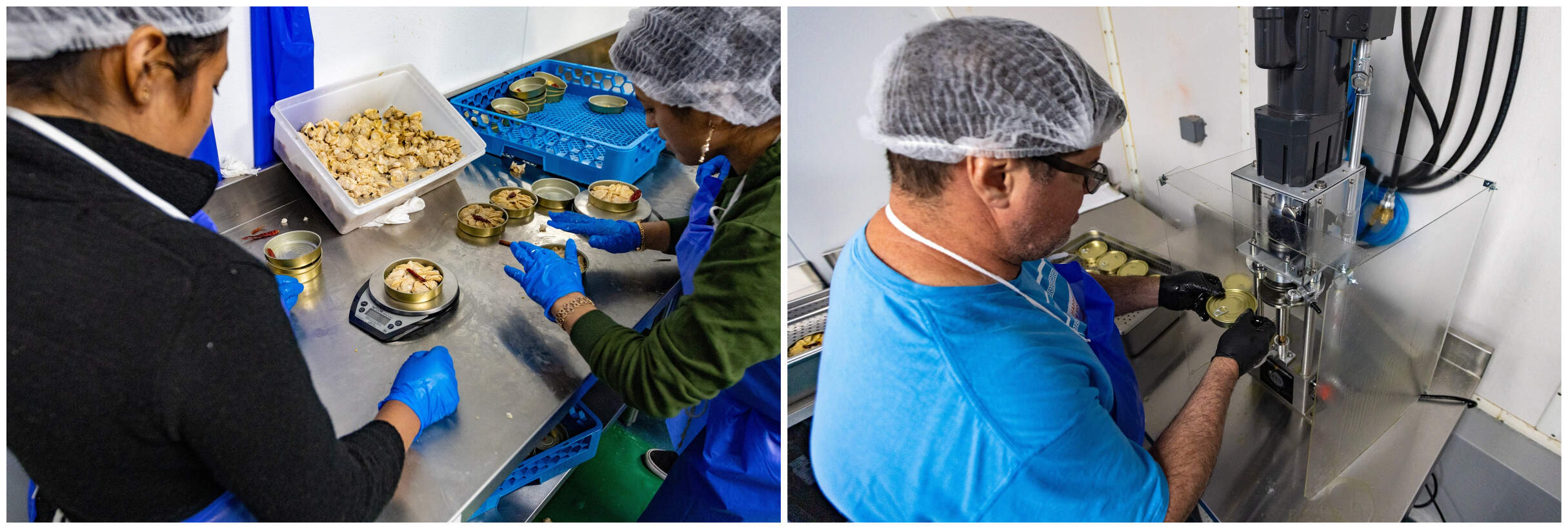 The littleneck clams are packed by hand in tins, weighed and sealed. (Jesse Costa/WBUR)