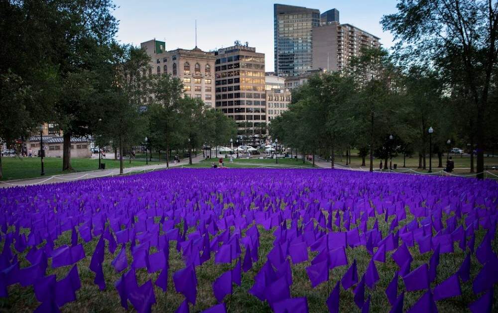 Twenty thousand purple flags planted on Boston Common in front of the State House in 2022 to commemorate lives lost to drug overdoses in Massachusetts. (Robin Lubbock/WBUR)