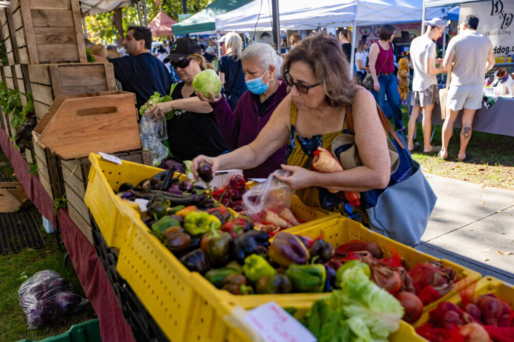 People shop for produce at the Roslindale Farmer’s Market on Saturday morning. (Jesse Costa/WBUR)