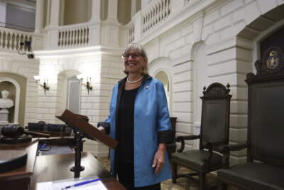 Democratic Senate President Karen Spilka poses for a photo at the rostrum in the Senate Chamber in the Massachusetts State House, Wednesday, July 24, 2024, in Boston. (Mary Schwalm/AP)