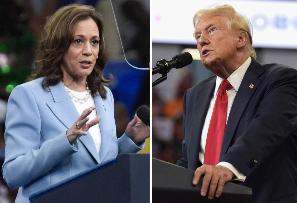 Vice President Kamala Harris on July 30, 2024, left, and Republican presidential candidate former President Donald Trump on Aug. 3 at campaign rallies in Atlanta. (AP)