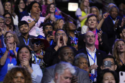 'In the room where it happens' — a day in the life of a DNC delegate