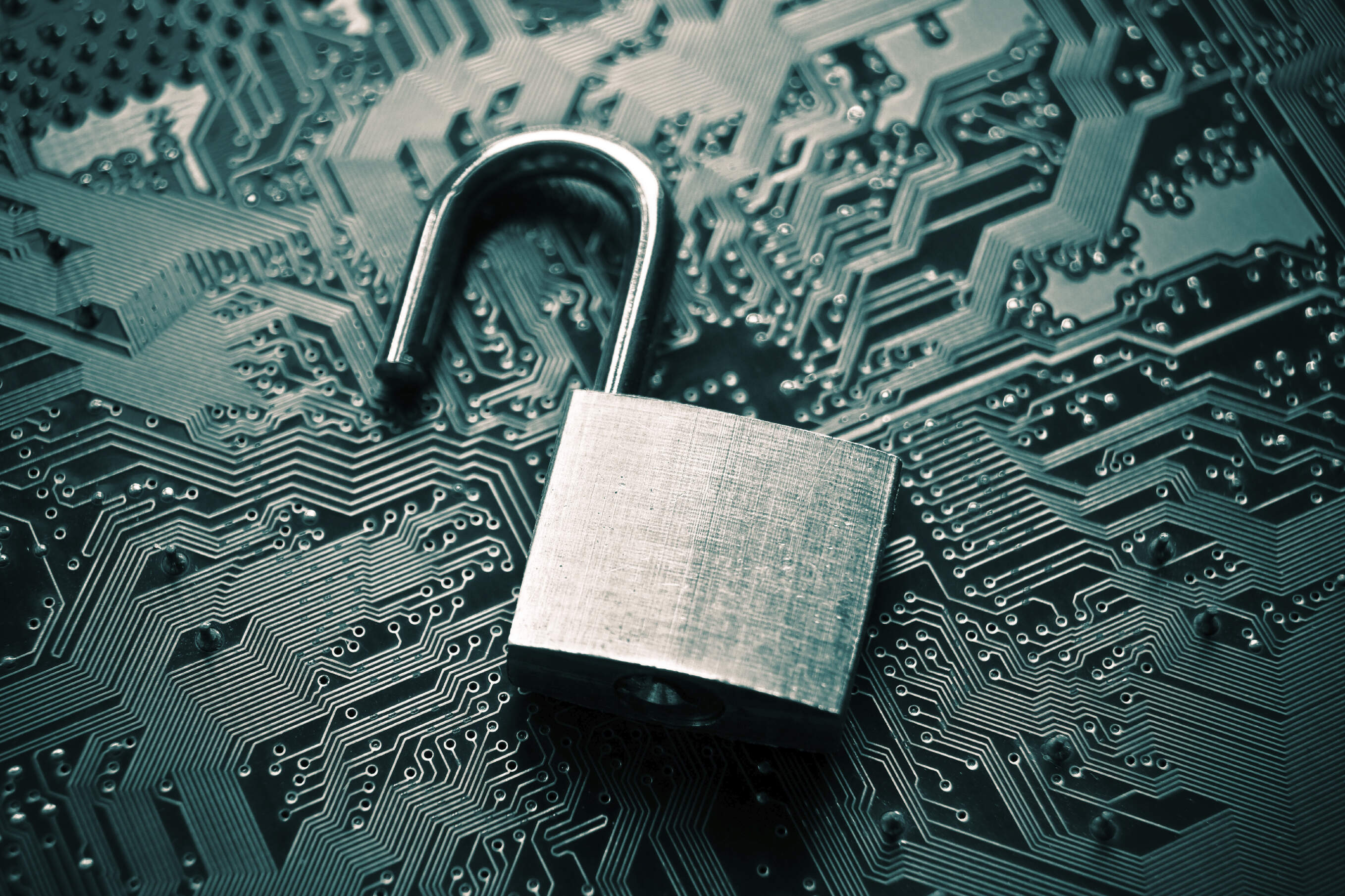 A notorious hacking group claimed to have hacked a company providing background checks. (Business Wire/AP)