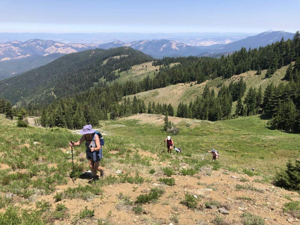 ‘Put One Foot In Front Of The Other’: Oregonian Hikes 800 Miles For Her ...