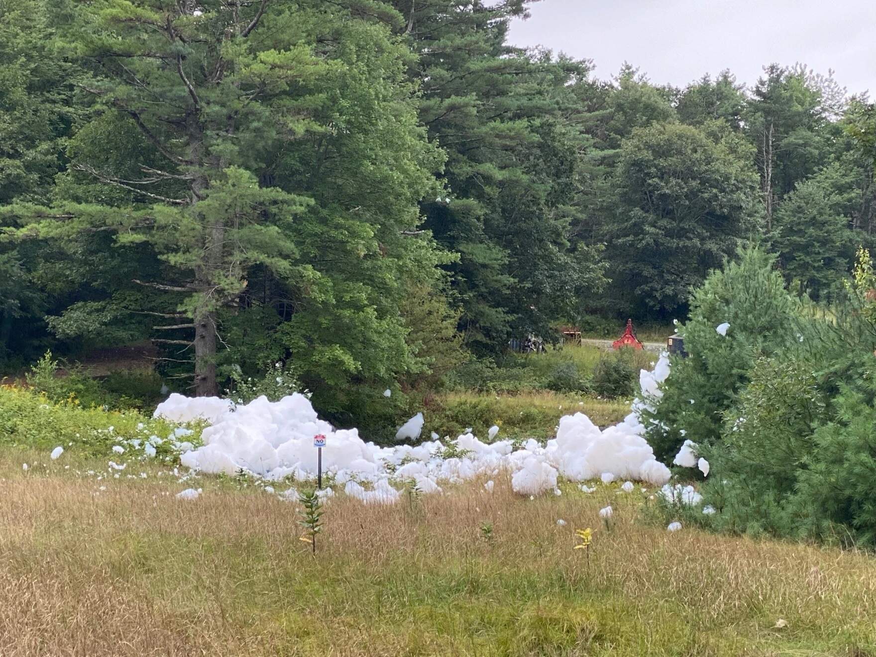 Firefighting foam containing PFAS chemicals seen at Picnic Pond in Brunswick. (Steve Walker via Maine Public)