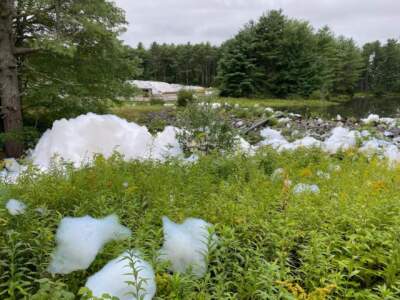 Over 1,600 gallons of PFAS firefighting foam spills into environment in Maine