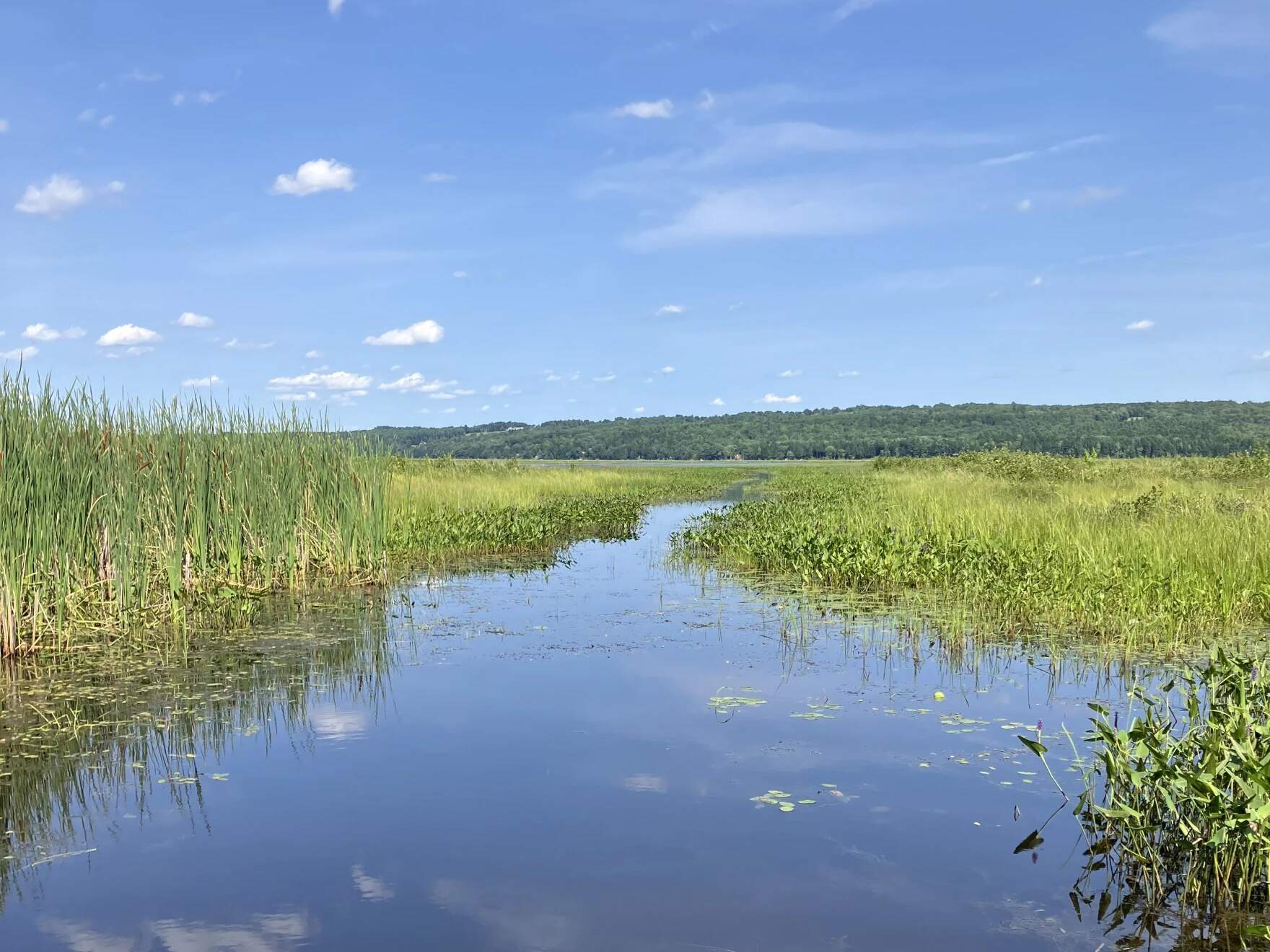 A view from the public boat launch on Messalonskee Lake in Belgrade. (Peter McGuire/Maine Public)
