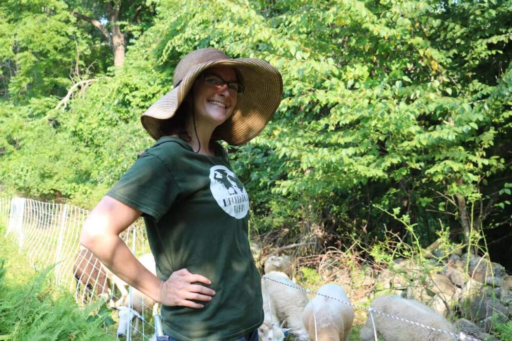 Kelly McCutcheon started her livestock landscaping business during the pandemic. She had a handful of goats and sheep. (Amanda Pirani/NHPR)