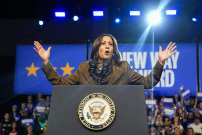 Kamala Harris is more than vibes. Here's a primer on her policies 