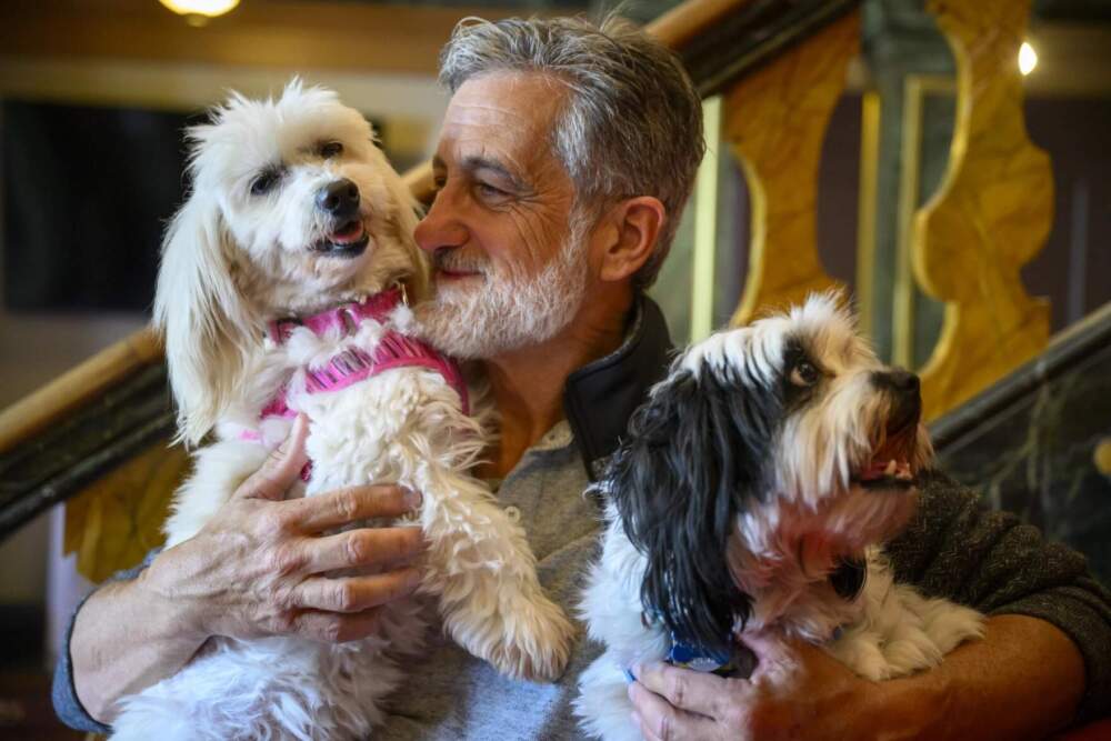 Bill Berloni estimates he's helped rescue 300 to 400 animals since his career began nearly 50 years ago, as an apprentice at the Goodspeed Opera House when he was put in charge of finding and training a dog named Sandy for the original production of ‘Annie.' (Mark Mirko/Connecticut Public)
