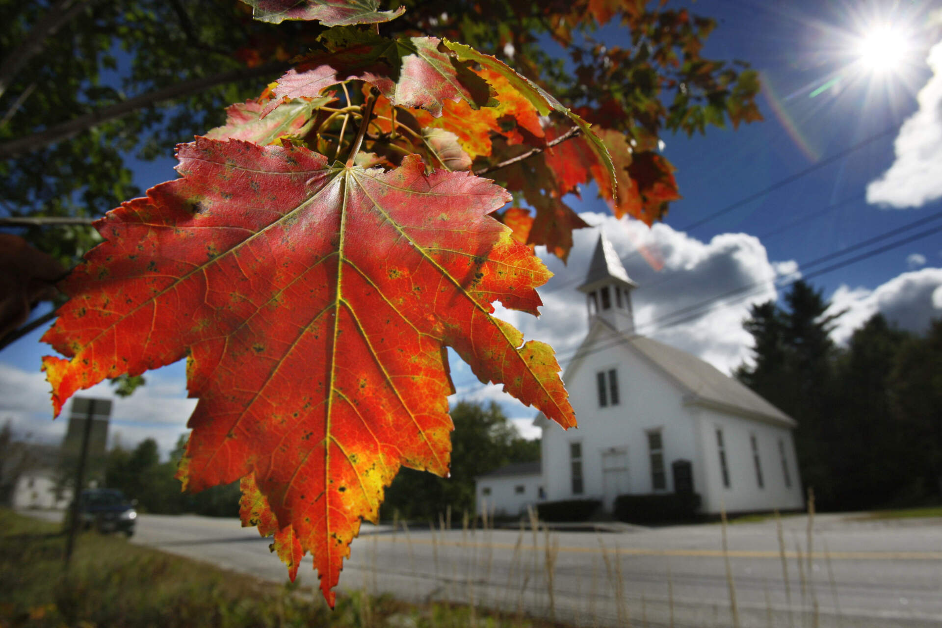 A maple tree shows its fall colors in Woodstock, Maine. (Robert F. Bukaty/AP)