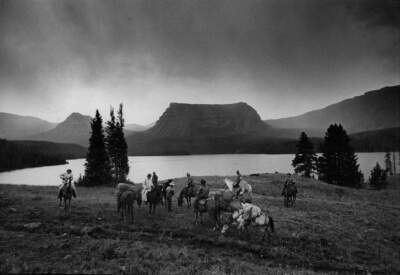 Rewilding is a radical act of humility