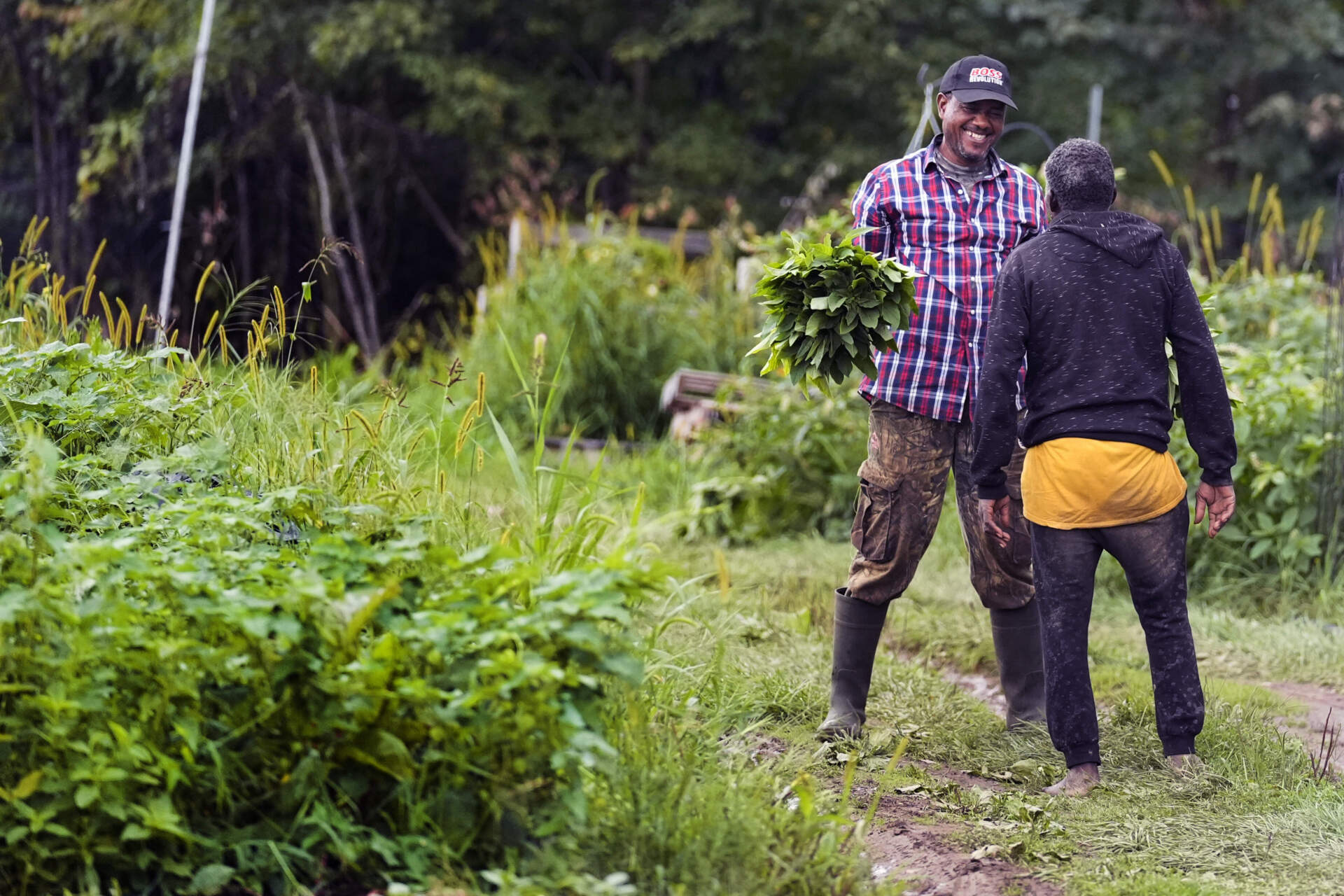 Farmer Sylvain Bukasa, a refugee from Democratic Republic of the Congo, chats with a fellow farmer Khamis Khamis, a refugee from Somalia, while harvesting vegetables in Dunbarton, N.H. (Charles Krupa/AP)