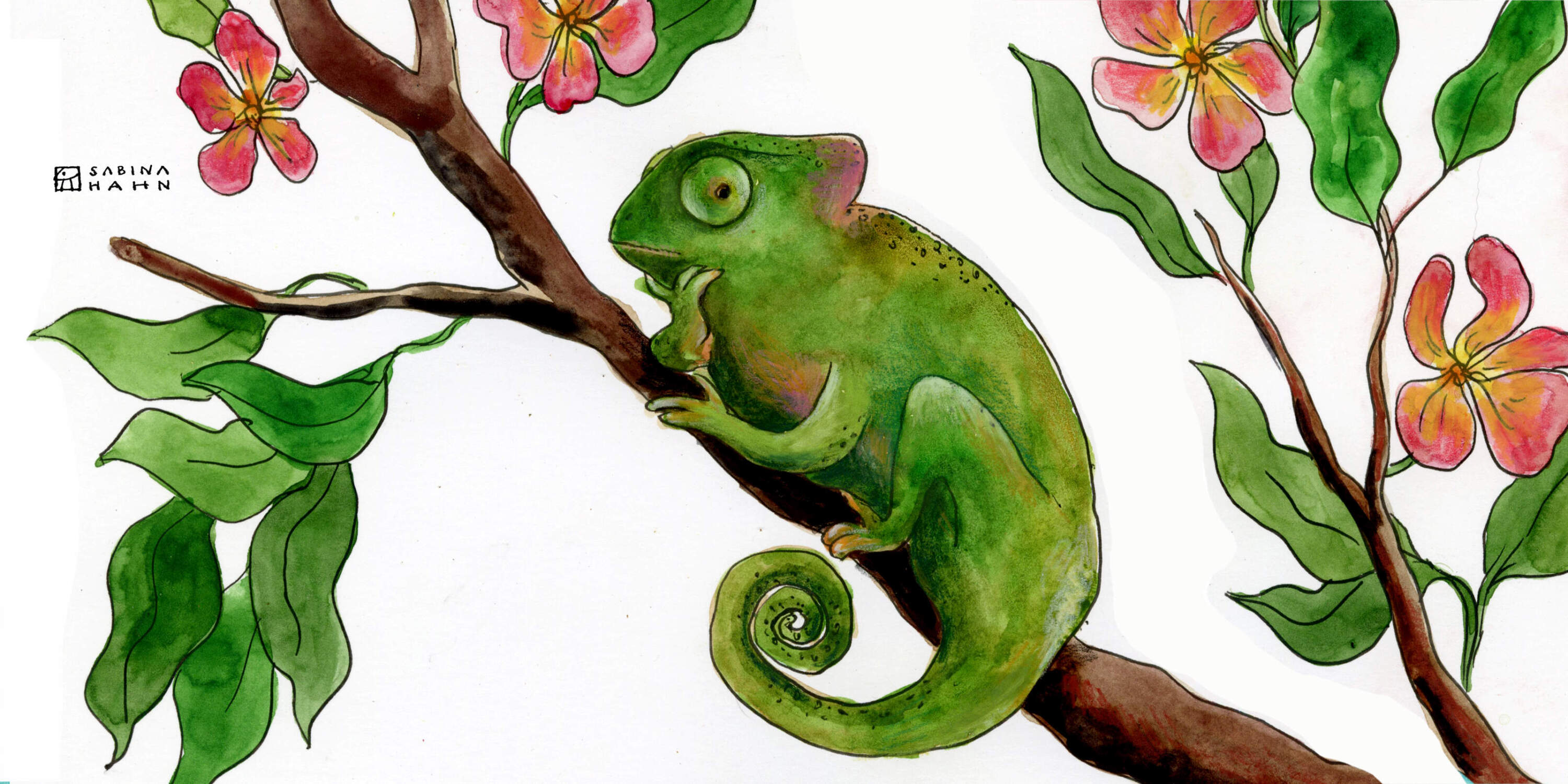  Encore: Chameleon’s Contest 