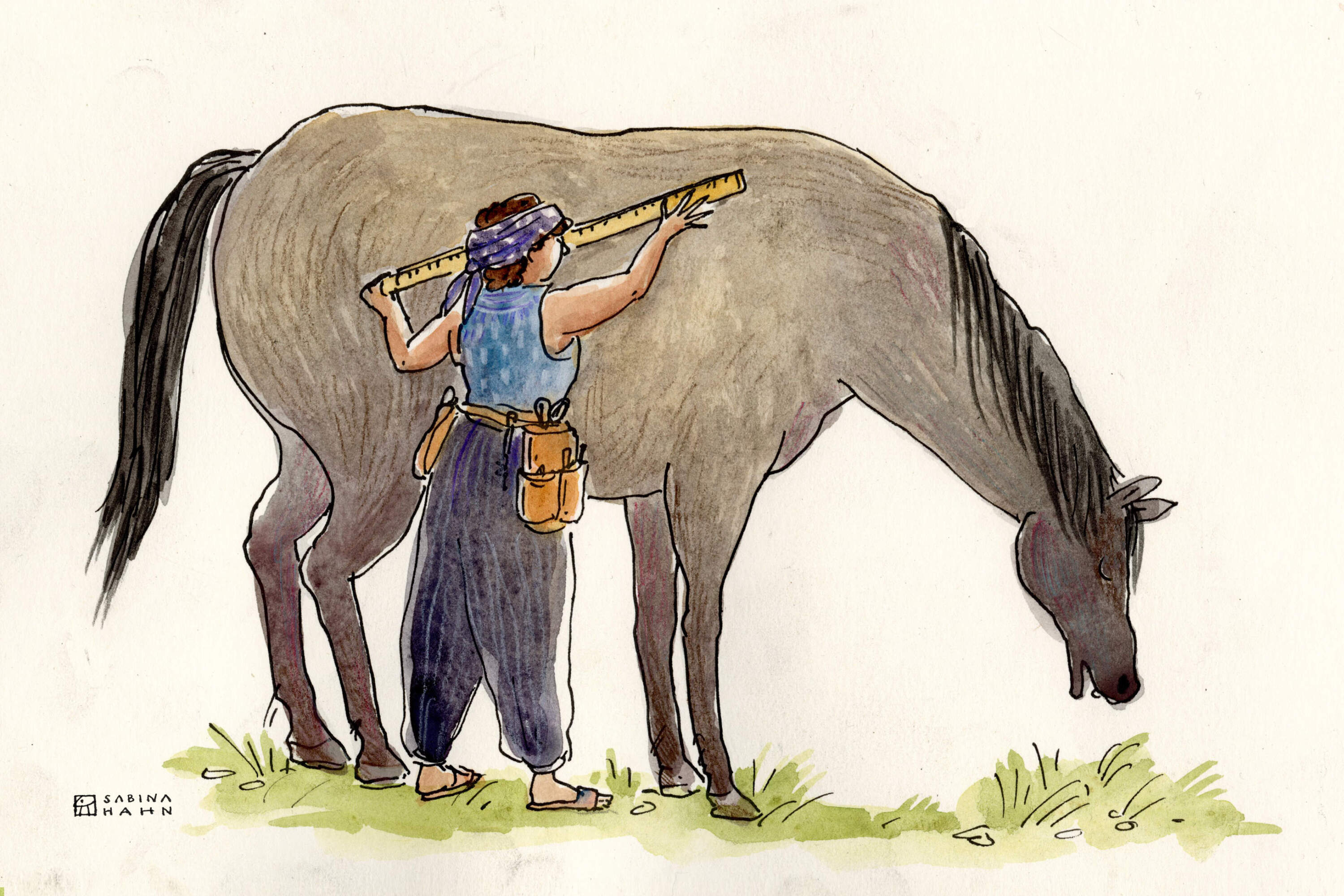  A Horse for Hire 