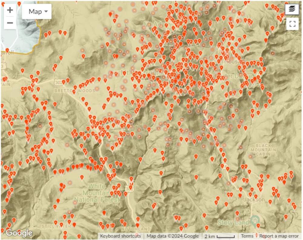 Observations recorded throughout New Hampshire on iNaturalist. (Screenshot of iNaturalist via NHPR)