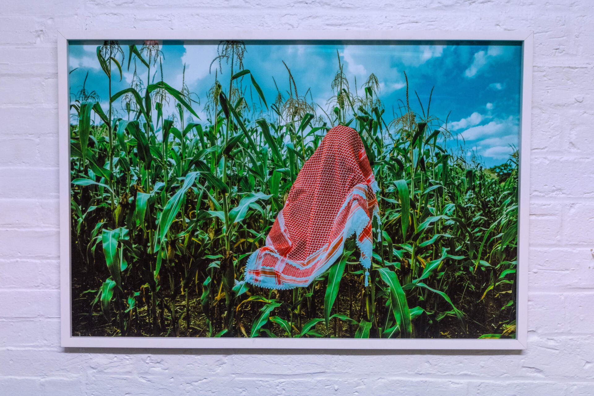 Feda Eid's "Diaspora" (2019), part of the "Made in USA" series. (Jesse Costa/WBUR)