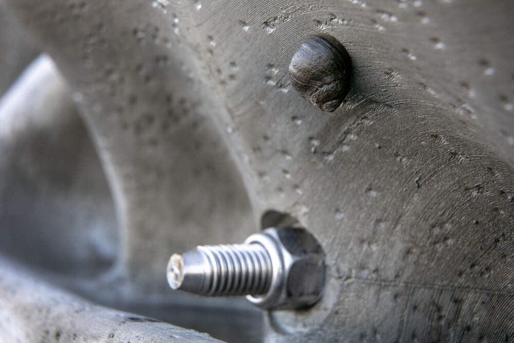 A sea snail makes its way up a recently installed section of living seawall. (Robin Lubbock/WBUR)