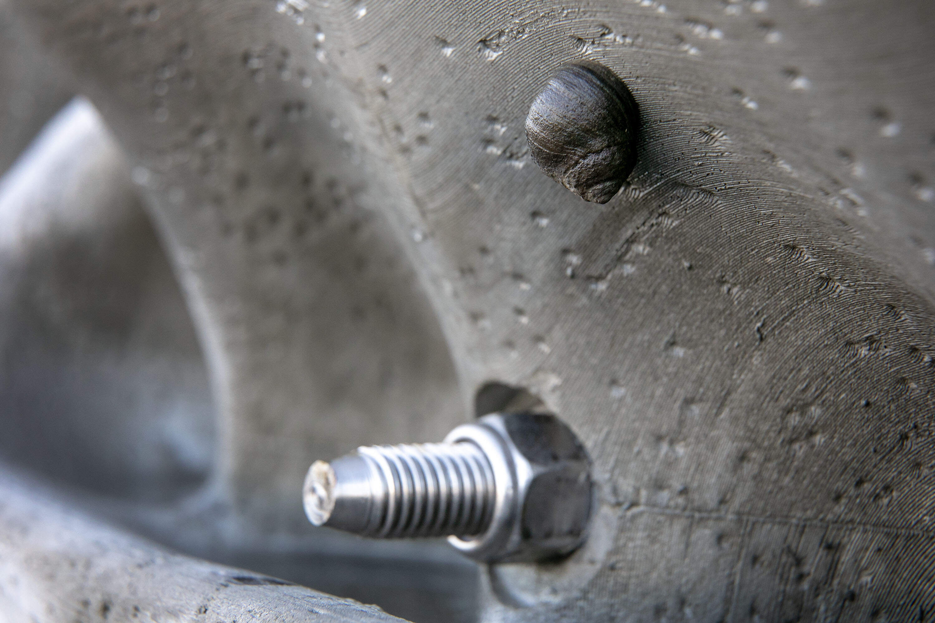 A sea snail makes its way up a recently installed section of the living seawall. (Robin Lubbock/WBUR)