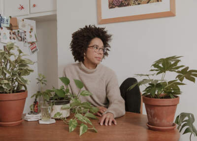 New book lays out optimistic possibilities for climate future, asking 'What if we get it right?'