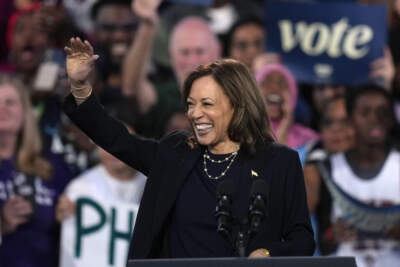 Kamala Harris' closing message: It's his record, stupid 
