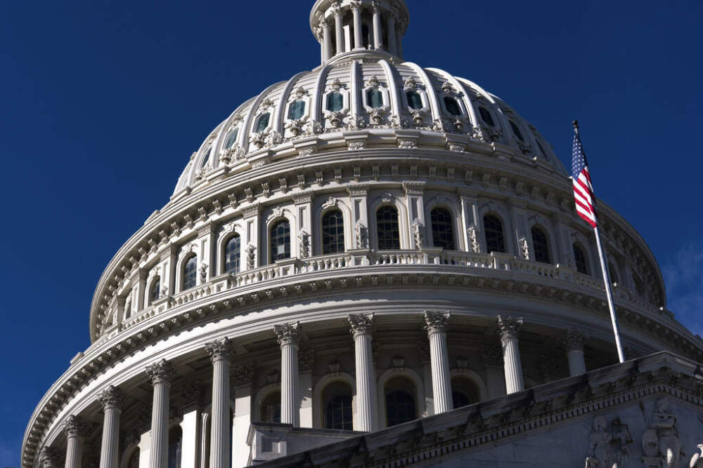The Capitol Dome (J. Scott Applewhite/AP)