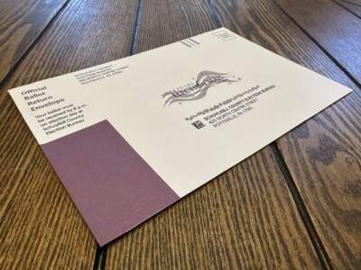 County election officials share experiences from the frontlines of America's elections