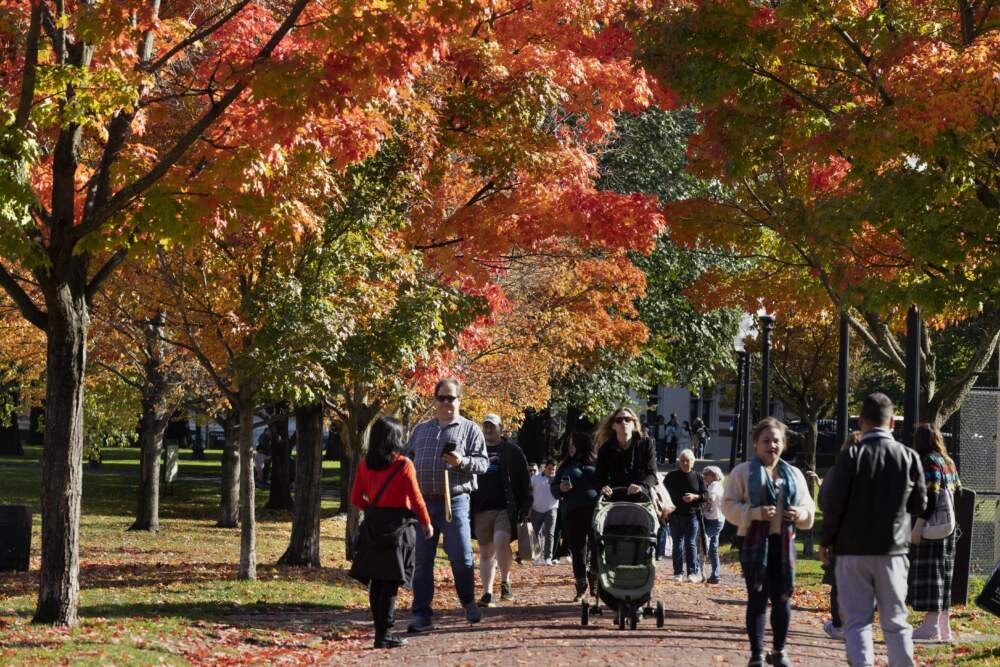 People walk under fall foliage on Boston Common, Friday, Oct. 14, 2022. (Michael Dwyer/AP)