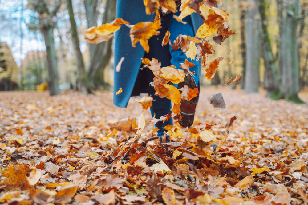 Cropped playful woman in coat walking and playing with maple leaves in the park in autumn. (Getty images)