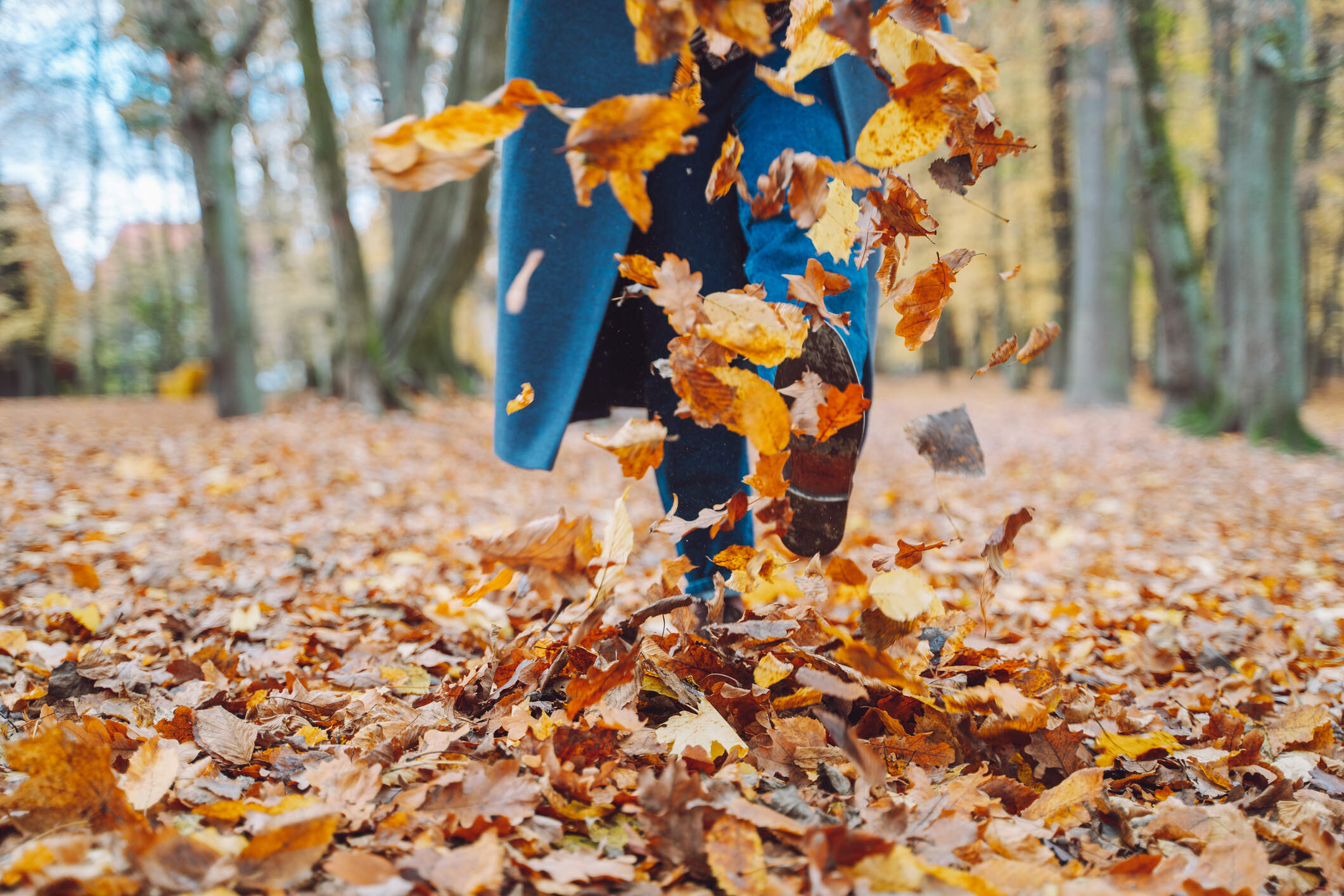 This autumn, I’m slowing down. I’m watching the leaves fall