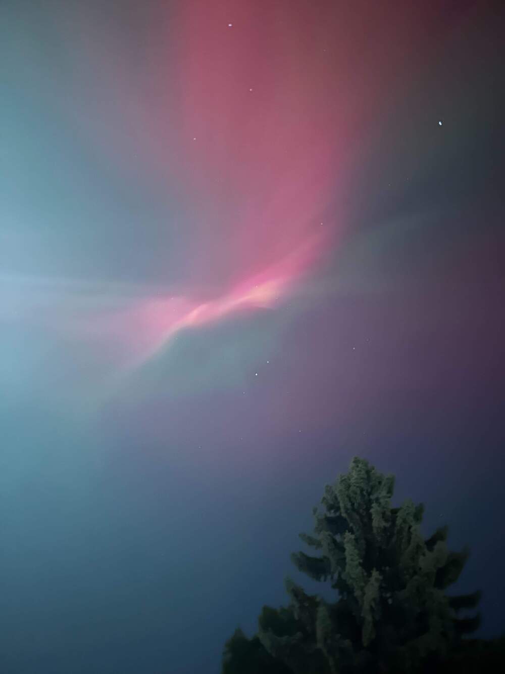 The Northern Lights shine over Waltham, Massachusetts. (Meghan Kelly/WBUR)