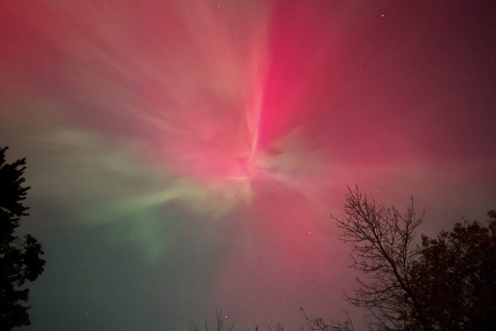 The Northern Lights over Falmouth, Maine Thursday, October 10, 2024. (David Sharp/AP)