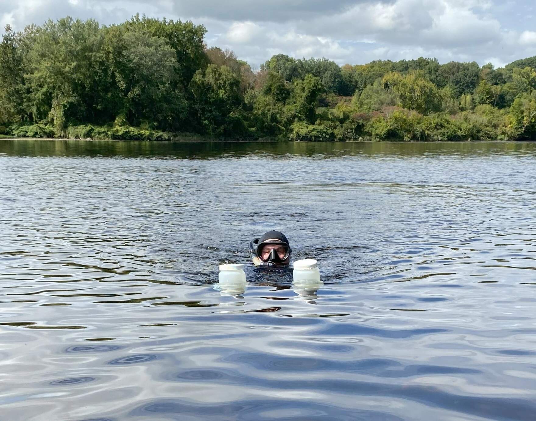 James Garner spent weeks diving in the Connecticut River, looking for genetic material from shortnose sturgeon. The species wasn't considered to exist in Vermont waters until this year. (Courtesy of James Garner via Vermont Public)