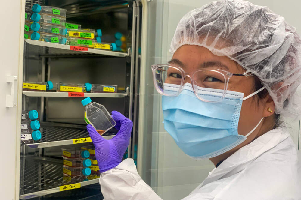 Veronica Tay, a lab tech and former Middlesex Community College student, removes a container of live cells from an incubator (Carrie Jung/WBUR)