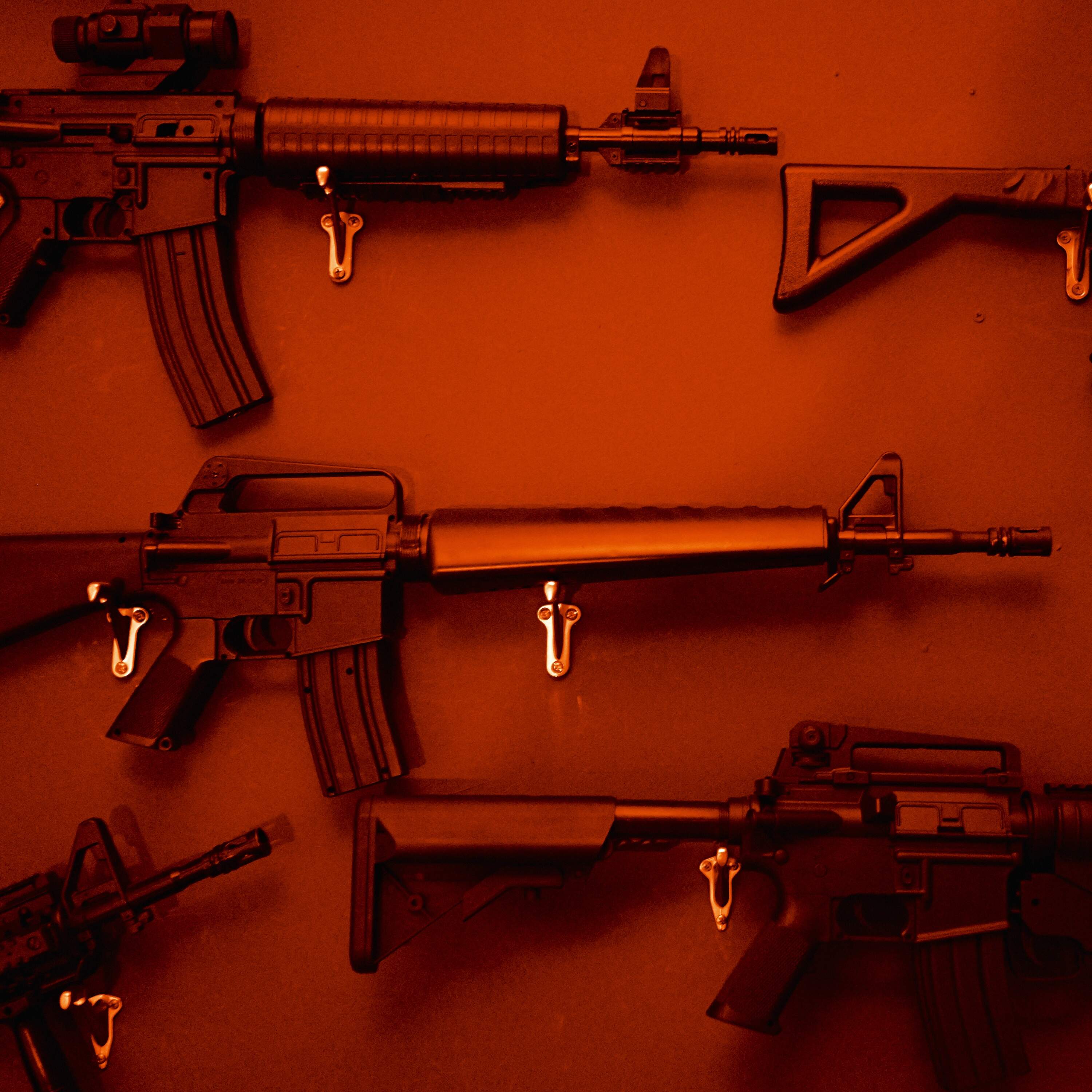 Armed and Socialist