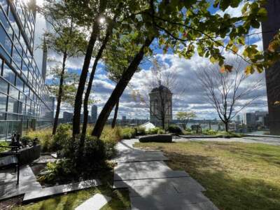 The Healing Garden at MGH is beautiful. It’s terrible that I belong here