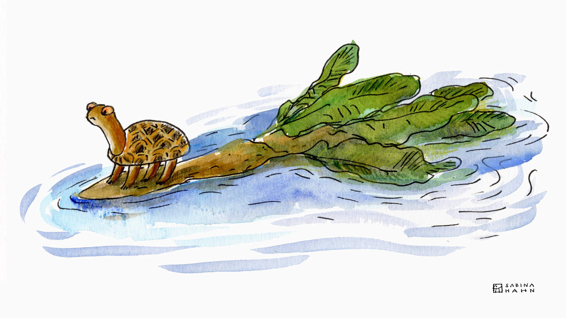 (Sabina Hahn for WBUR)
