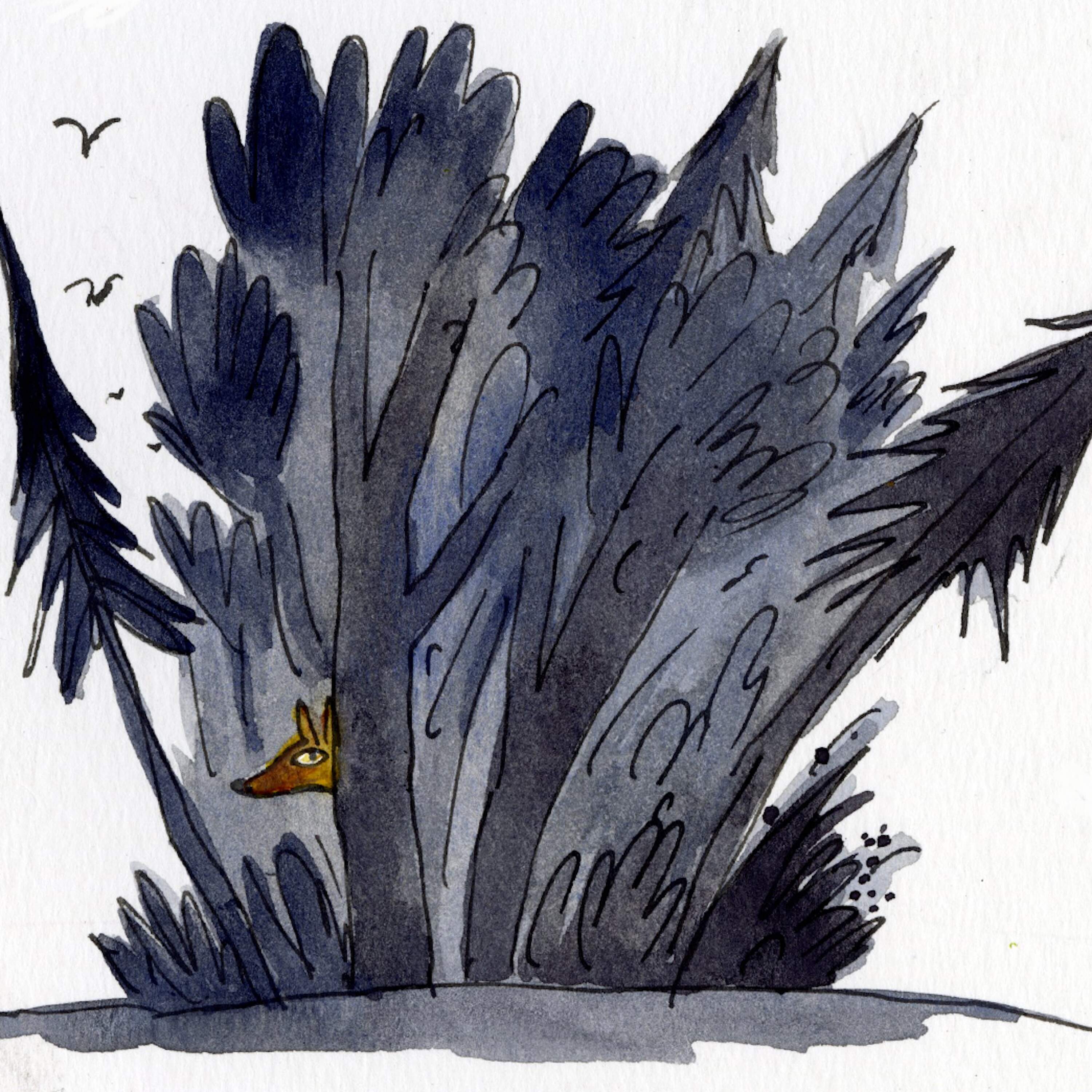  In the Wolf’s Mouth 