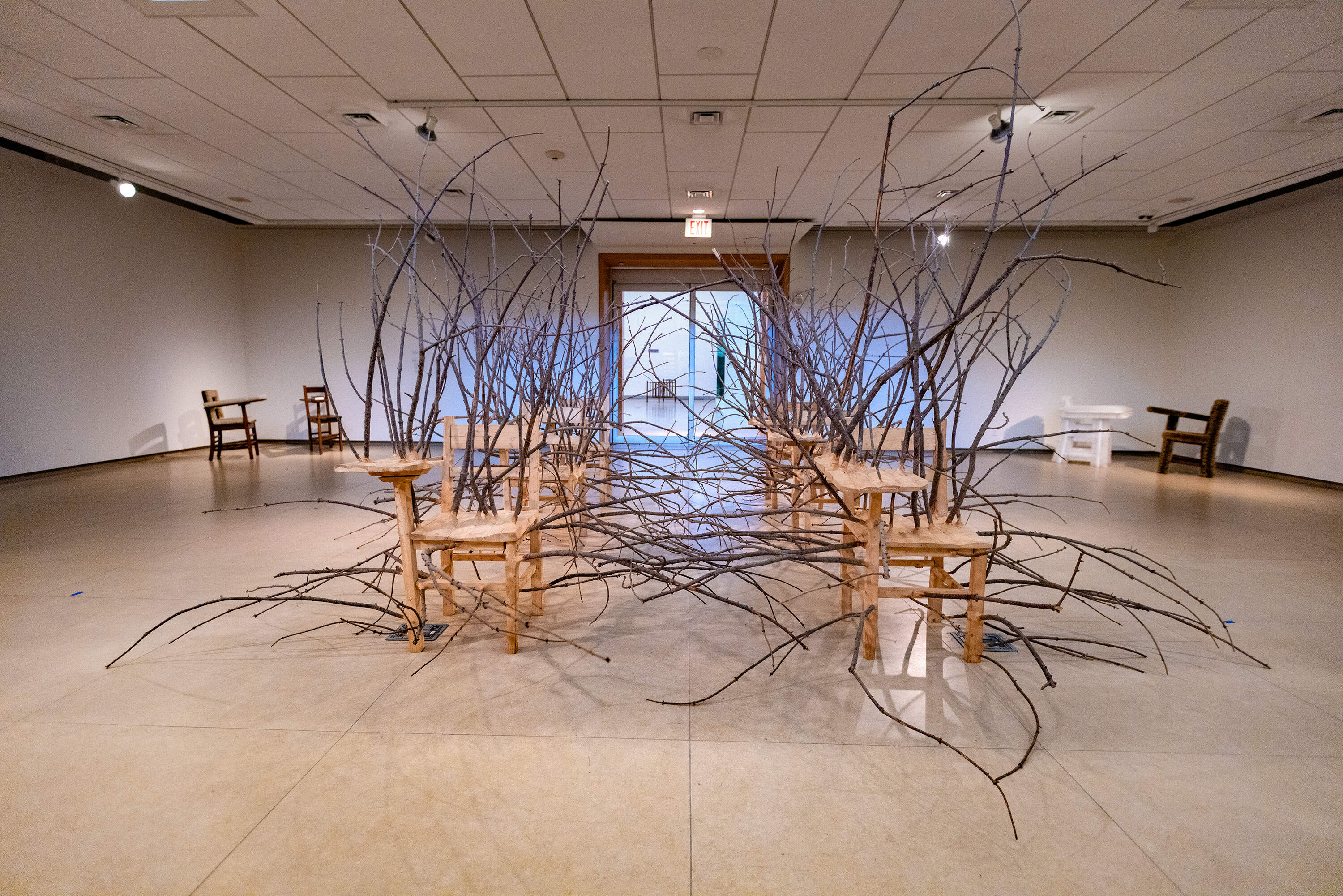 "Brier Patch" by Hugh Hayden. (Jesse Costa/WBUR)